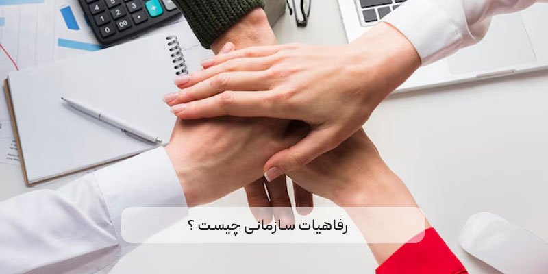 رفاهیات سازمانی چیست؟ تعریف، مثال و ضرورت آن‌